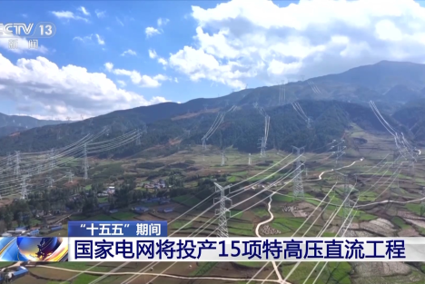 从电网发展看私有制万能论的荒诞