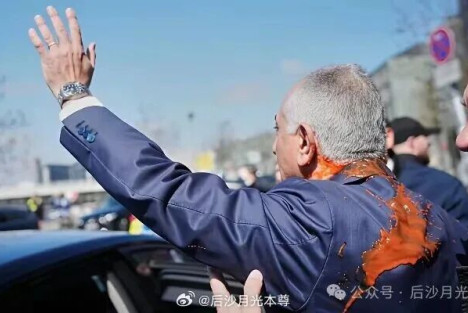 全世界最可悲的丧家犬！