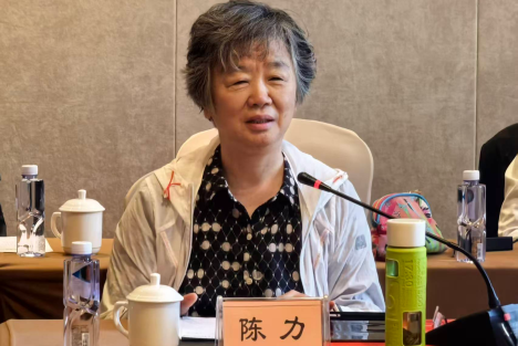 陈力：长征胜利的经验和启示