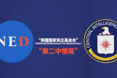 极端女权渗透中国背后的境外基金会资金链