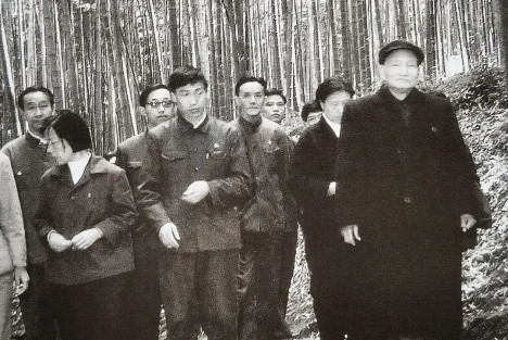 陈云：治理污染、保护环境，造福子孙后代
