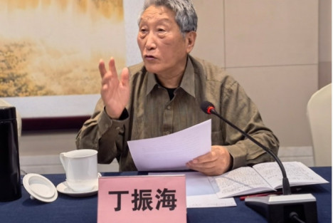丁振海发言：坚定 清醒 有作为