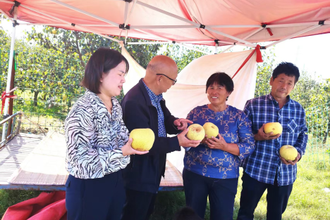 陈先义：兰考梨园访卞三儿