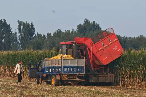 地不荒、人省心、村有钱，河北农村的土地合作社“火了”