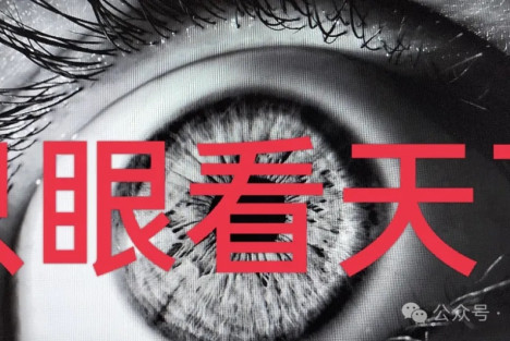 文学，不能只是影射工具