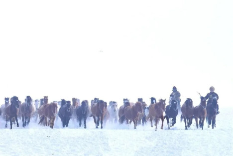 陈先义：向“天山焦裕禄”式的好干部贺娇龙学习的民间倡议