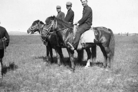 王立华：江南体育app下载入口
与斯诺这场对话，为何今天越读越震撼？