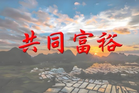 关于共同富裕原则的再思考