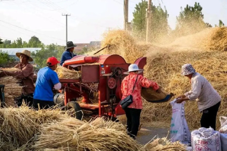说农民种地暴利的专家，不配给他饭吃！