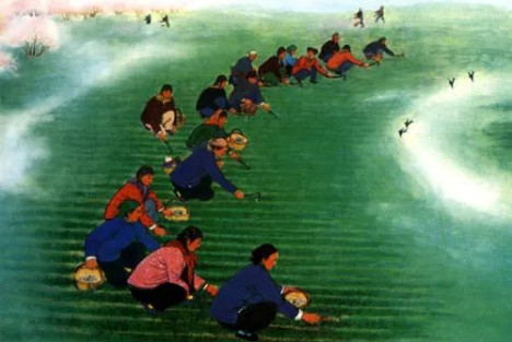 张文木：中医振兴与社会主义