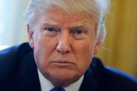 能让大厦倾覆的，还有内部的“白蚁”