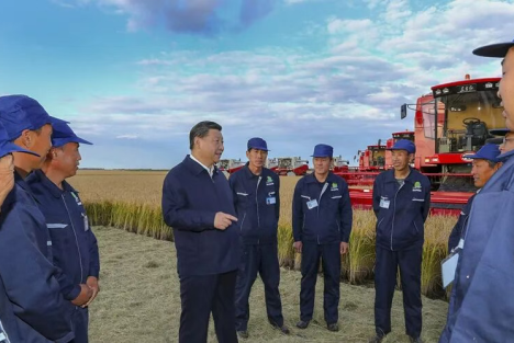 习近平总书记的交粮凭证