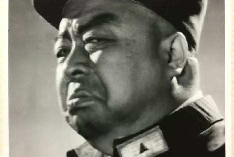 《沙家浜》“胡司令”原型被捕记