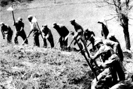 自我革命的典范：从一句骂声到十万字报告