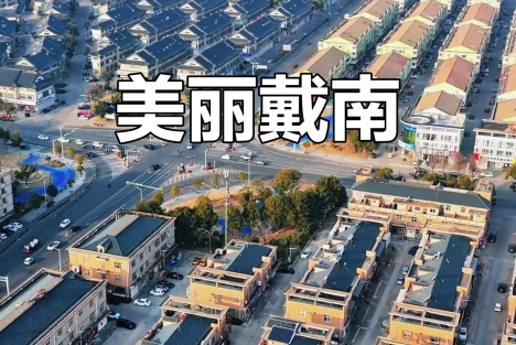 莫其康：戴南镇：社会主义现代化的中国乡镇样本
