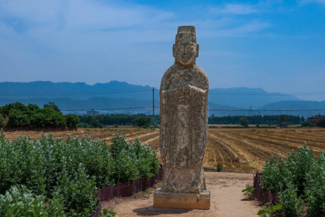 陈先义：宋陵麦浪，一场温柔的千年对望