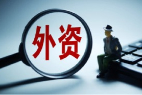 左大培：再也不能无度地娇宠外资企业了