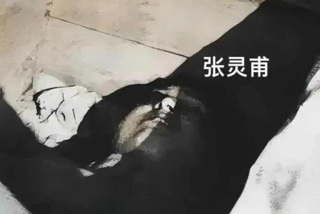 二亩黄土赠屠夫：某些人的膝盖为何跪给了张灵甫？