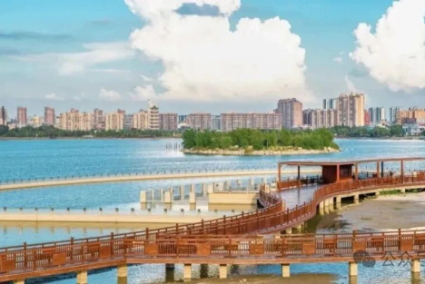 陈先义：中原一个县甩出了“王炸”