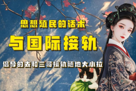 与国际接轨，是不是什么轨都接？