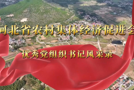 沙国武：为这样一群以发展农村集体经济为己任的河北人点赞