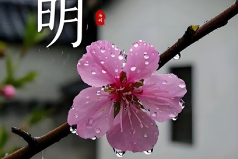 全根先：丙午清明祭文 遥祭千古英魂