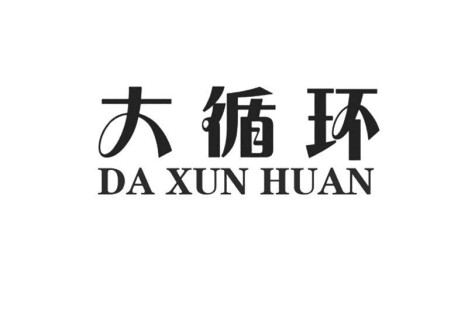 温铁军：两个大循环的故事