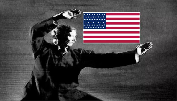 华新语：那宫，那女人，那美国推手
