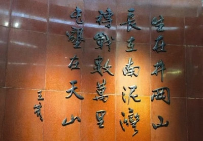 陈先义:美丽的阿拉尔——南疆纪行之三