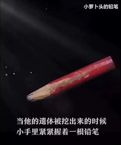 公知国粉百般洗白和包装的军统特务对革命党人都做过什么？
