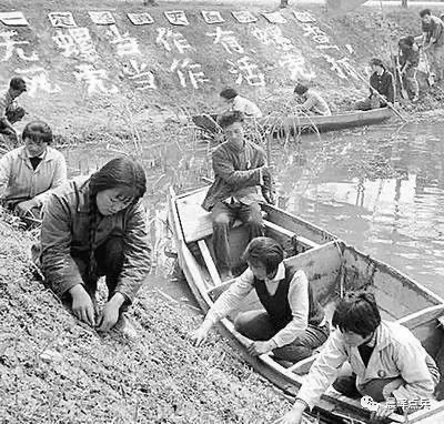 陈辉:回眸65年前毛主席领导人民抗击血吸虫病魔的伟大胜利