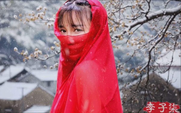 李子柒视频海外走红怎么看？