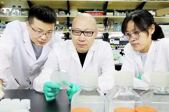 细菌大迁徙：达尔文那一套又不管用了