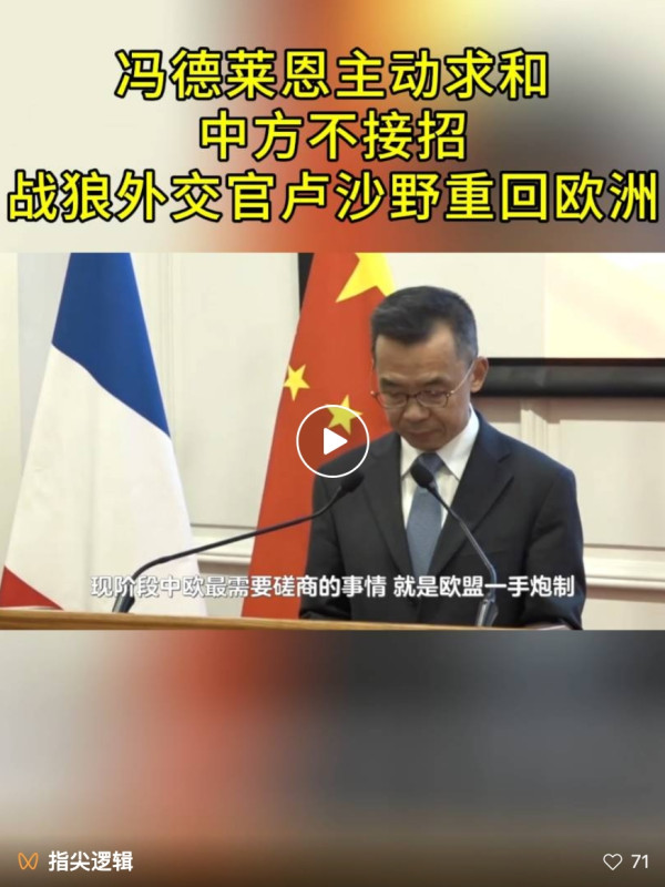 “好钢用在刀刃上”,卢沙野大使重返欧洲,任中国政府欧洲事务特别代表