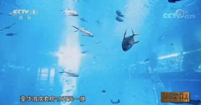 反腐败最新形势分析:存在6个方面重大问题!