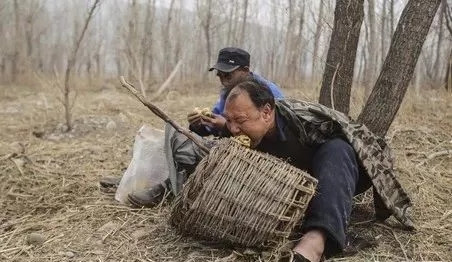 俩中国老头(轰动了全世界)