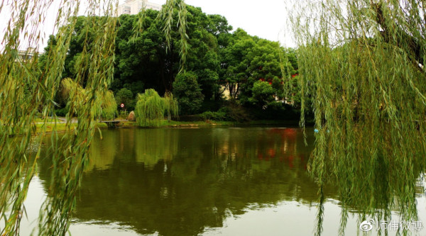 师伟：毛岸英评传
