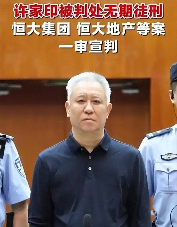 陈先义:大盗许家印被判无期后的终极叩问