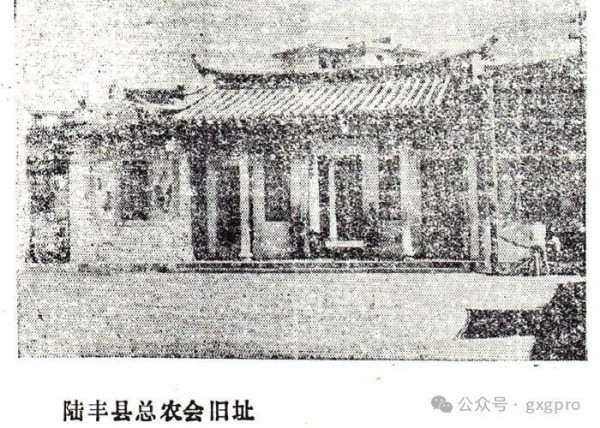 彭浩 谷新光：海陆丰劳动银行的历史追寻与当代镜鉴