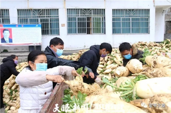 王宏甲:智慧的乡村群防群控