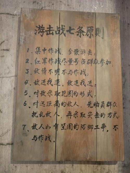 image3 陈晋:毛泽东·格瓦拉·游击战:两代游击英雄的对话