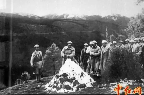 长征与辣椒