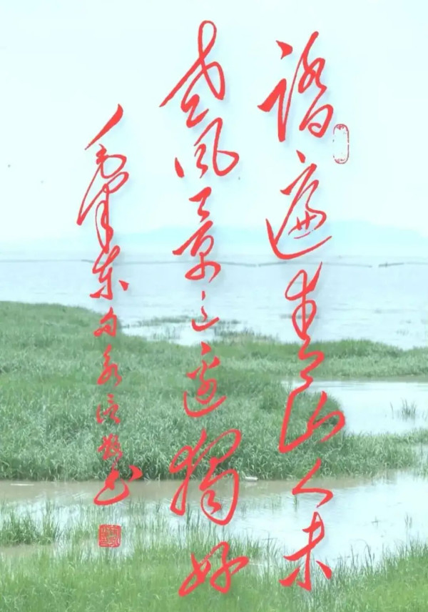 陈先义：繁忙的钓鱼台国宾馆
