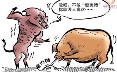 美国种猪落地武汉的背后,是一部中国土猪的消亡史