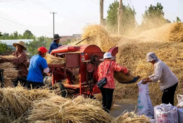 说农民种地暴利的专家，不配给他饭吃！