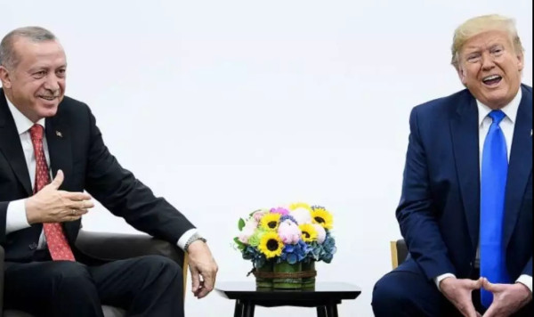 美国人跑了，“狗”的生活开始......