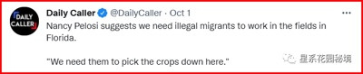 翻车?佩洛西说要打包移民去弗罗里达“收割庄稼”,引全美怒骂……