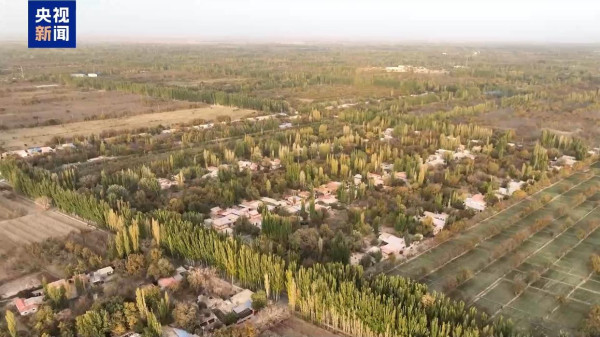 陈先义:“当代愚公”昆仑山下去治沙,不为“个富”为“共富”