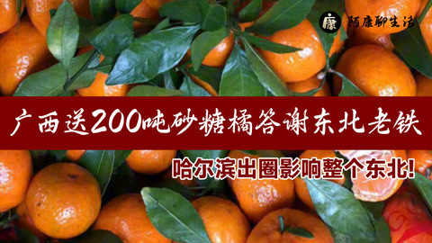 陈先义：沸腾的哈尔滨