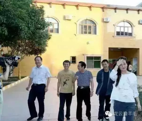 赵薇事件的来龙去脉及其恶劣影响